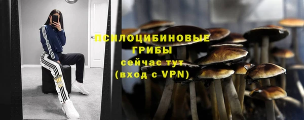 дмт Аркадак