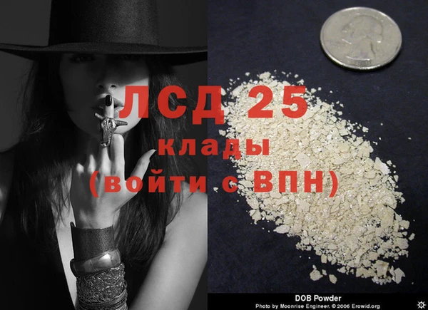 стафф Армянск