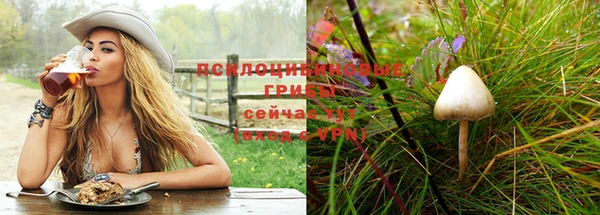 apvp Богородск